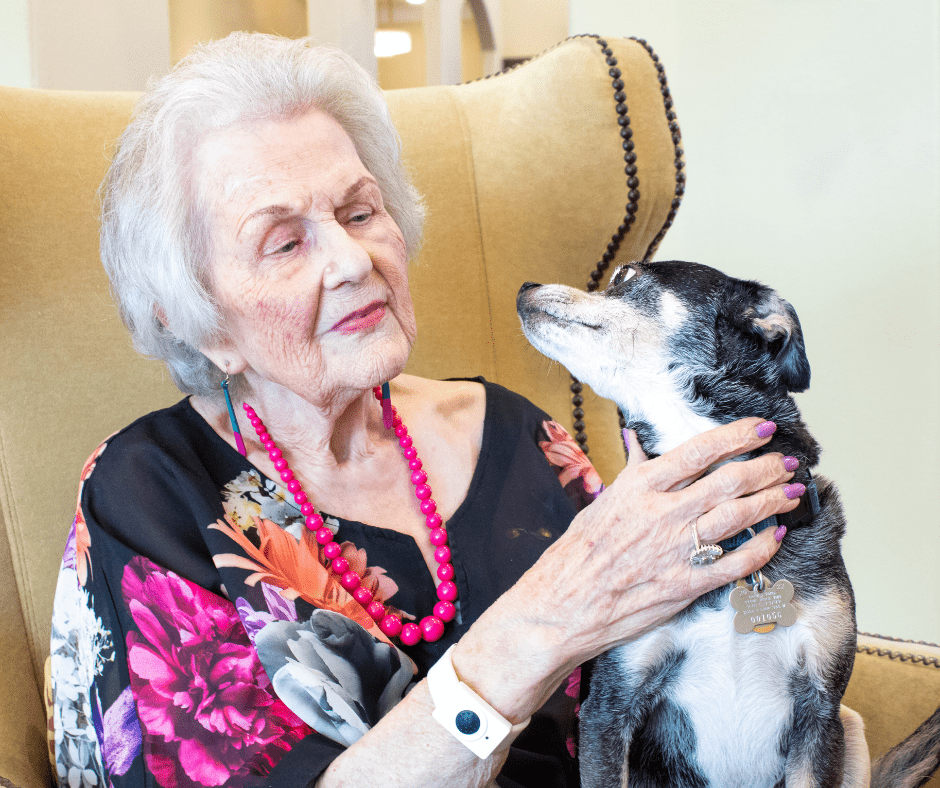 Senior woman sitting in chair holding pet dog