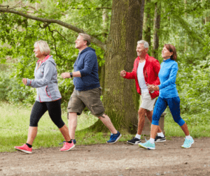 Two senior couples on a walking trail in the woods